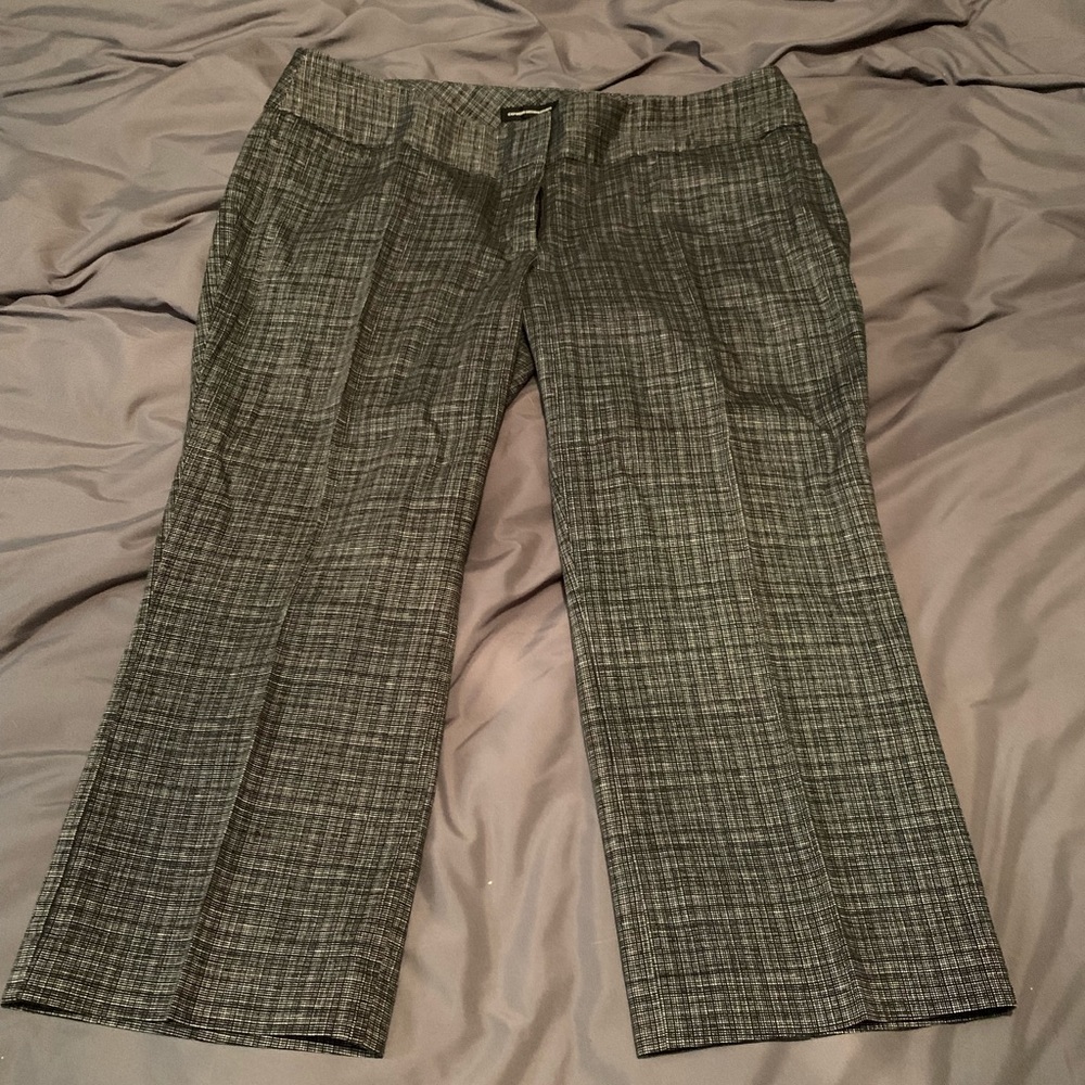 Express Design Studio Pants
